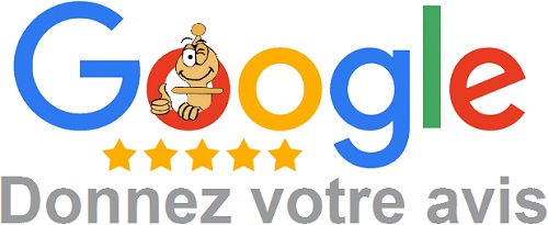 avis google échiquier bisontin