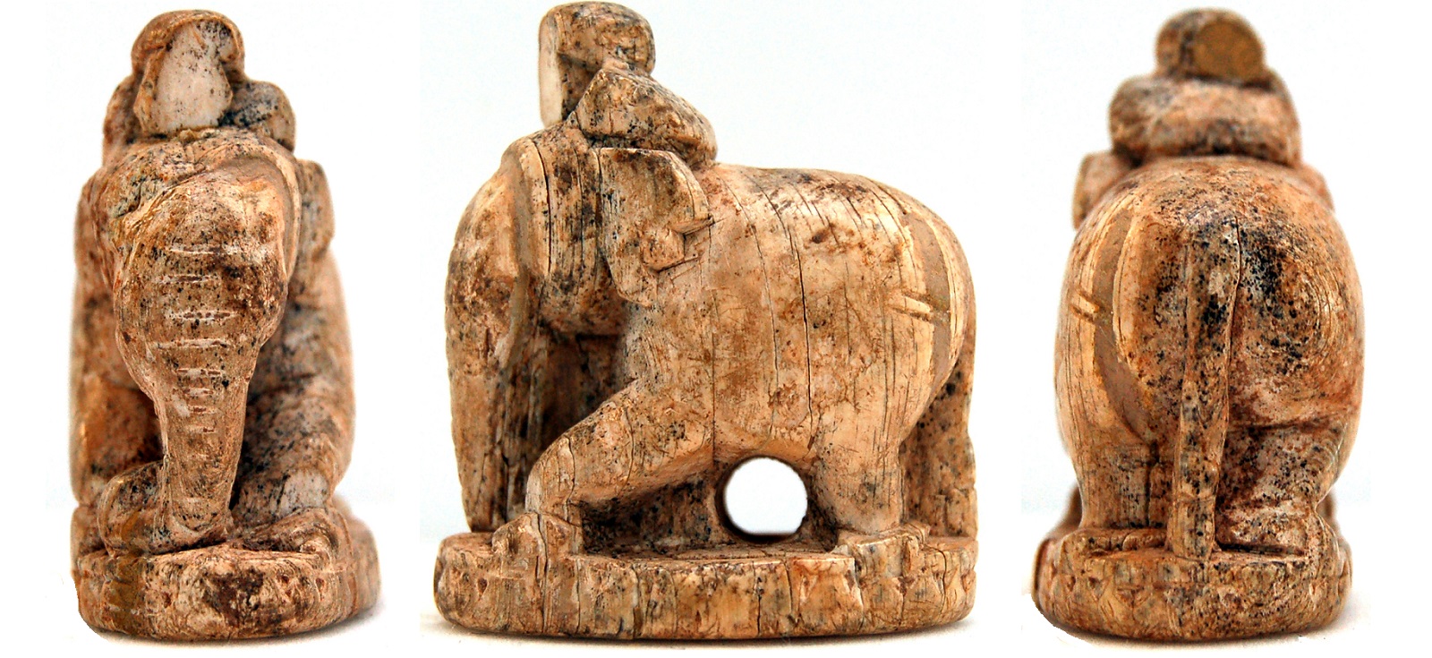 quiz élephant fou conseiller
