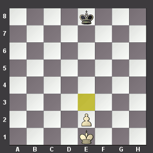 echecs medievaux pions roi